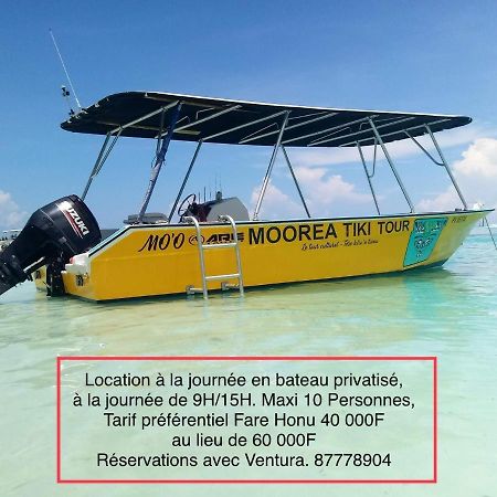 Fare Honu Cook'S Bay Moorea Exteriör bild